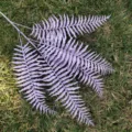 Detailed close-up view of artificial purple Boston fern leaves for plant wall decor. - Light Purple