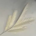 Close-up view of artificial cycad leaf branch, detailed simulation plant texture for interior decor. - Off White