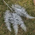 Detailed view of artificial silver Boston fern leaf branch for home and wedding decor setup. - Silver