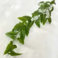 Artificial green pothos vine 1.2m leaf plant wall hanging home office decor variant style - Yellow-Green