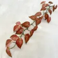 Artificial caladium leaf vine, 1.2m fake green plant hanging for home and office wall decor. - Red
