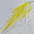 Flor artificial colgante amarilla vid de sauce decoración floral falsa para boda - Amarillo