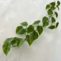 Artificial ivy vine leaf hanging plant for home office room wall decor fake green foliage. - Verdant