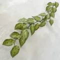 Artificial syngonium plant vine 1.2m fake green leaves for office home wall decor hanging. - Yellow-Green