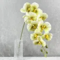 Gedetailleerd beeld van kunstgroene orchideeëntak met realistische bloemblaadjes in heldere vaas. - 5