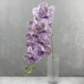 Close-up detail van kunstmatige paarse gevlekte phalaenopsis orchidee tak in heldere glazen vaas. - 8