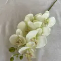 Artificial Phalaenopsis orchid single branch, 7 heads fabric fake flower for home wedding decor. - Light Green