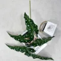 Branche de plante artificielle Alocasia feuille verte pour maison bureau déco mariage fête. - 95cm / Vert à Pois