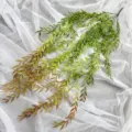 Artificial green willow hanging vine plastic plant wall decor for wedding and home decoration - Sunset