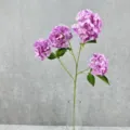 Nahaufnahme künstlicher violetter Hortensienblüten mit grünen Blättern in klarer Glasvase. - Rosa Violett