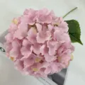 Artificial pink hydrangea single stem flower for wedding home decoration soft piece. - Light Bean Paste