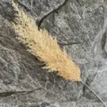 Detailed view of single artificial pampas grass fake reed flower plant for home decor. - Dark Champagne
