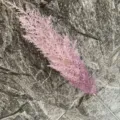 Artificial plastic pampas grass single branch fake reed plant for home room living decor - Light Purple