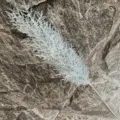 Close-up of white artificial pine branch for modern home decoration and floral design. - Light Blue