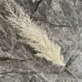 White artificial reed flower branch plastic fake plant for home decor detail shot - Off White