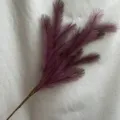 Artificial purple pampas grass flower detail, multi-fork reed branches for home decor. - Fuschia