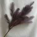 Close-up detail of artificial grey pampas grass branch, perfect for wedding and home decor styling. - Deep purple