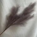 Artificial pampas grass faux reed floral detail view for wedding home decoration and crafts. - Light Purple