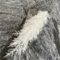 Detailed close-up view of a white artificial reed plant branch, showing fine plastic texture. - Pure White