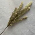 Tiges de fausses plantes en roseau de millet doré artificiel pour la décoration de la maison. - Vert foncé