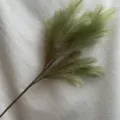 Artificial pampas grass reed branch detail view, soft green faux plant for wedding decor. - Green