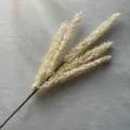 Gros plan détaillé d'une branche de baies artificielles blanches pour arrangement floral. - Crème