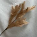 Dettaglio in primo piano di ramo d'erba della pampas dorata artificiale per casa. - Oro