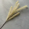 Gros plan sur l'épi de millet artificiel, branche florale blanche réaliste pour décor d'intérieur. - Blanc Cassé