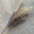 Detalle de tallos florales artificiales de mijo y caña, colores degradados para el hogar. - Suero de orquídea