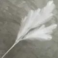 Vista dettagliata di rami di pampas artificiale bianco, ideali per matrimoni e decorazioni. - Bianco