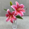 Detailed shot of artificial pink lily flower arrangement with two heads and green leaves in vase. - No. 1