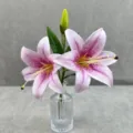 Gros plan d'une branche de lys artificiel en fleurs avec un vase en verre transparent. - Taille 4