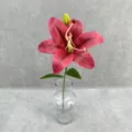 Close up of artificial pink lily flower in a clear glass vase, perfect for home decor detail. - Dark Red