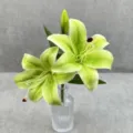 Détail de fleur de lys artificielle avec deux têtes et bourgeon, design vert élégant. - 15