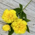 Detailed view of artificial yellow peony flower branch with green leaves for home decor. - Bright yellow