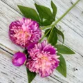 Close-up detail of artificial peony branch featuring vibrant pink and purple blooms with green leaves. - Deep purple