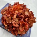 Vintage artificial silk hydrangea flower single stem burnished edge home decor item - Caramel color