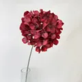 Artificial dark red hydrangea flower detail close-up for wedding decoration and floral arrangement. - Bright Red