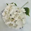 Artificial white hydrangea flower single stem silk fake floral for wedding home decor - Champagne
