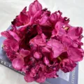 Künstliche Seide Hortensie Blume Vintage verbrannte Kante Fake Blume für Heimdekoration - Fuchsia