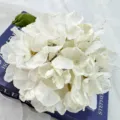 Weisse künstliche Hortensie einzelne Seide Brennkante Blume für elegante Heimdekoration - Herbstweiß