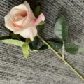 Fleur de rose artificielle rose unique tige vue détaillée pour mariage maison et photo - Rose Champagne