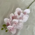 7-Head Artificial Pink Phalaenopsis Silk Orchid Flower for Home Wedding Decor Variant - Light Pink