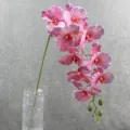 Kunstmatige phalaenopsis orchidee detail, close-up van paarse bloementak met knoppen. - 18