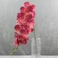 Close-up detail van donkerroze kunstmatige phalaenopsis orchidee bloemtak met heldere vaas. - 19