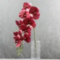 Gedetailleerde close-up van een kunstmatige phalaenopsis orchideeëntak in een glazen vaas. - 20