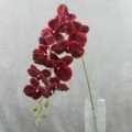 Kunstmatige Phalaenopsis orchidee detail, donkerrode neppe bloemtak voor huisdecoratie. - 21