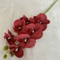 Artificial Phalaenopsis orchid branch 7 heads faux silk flower for home wedding decor. - Dark Red