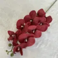 Artificial Dark Red Phalaenopsis Orchid 9 Heads Fabric Silk Flower Stem Variant Model - Dark Red