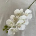 Artificial Phalaenopsis Orchid Branch Silk Flower For Home Wedding Decor White Color - Cream